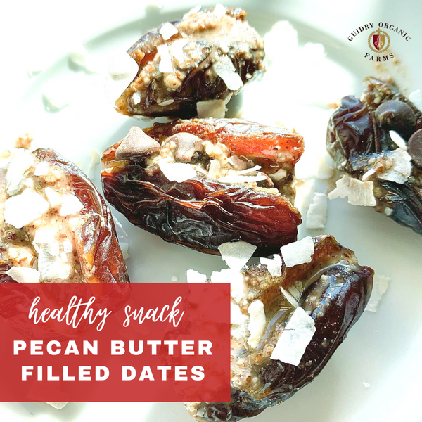 Pecan Butter Stuffed Dates