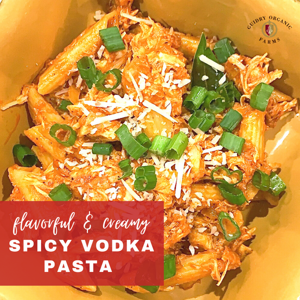 Spicy Vodka Penne Pasta