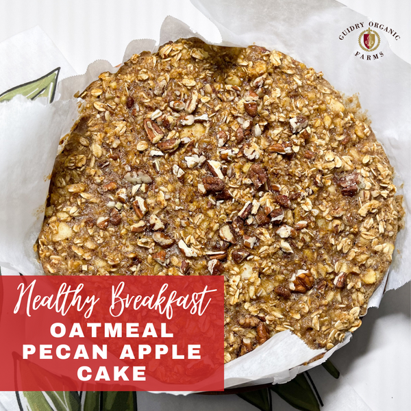 Healthy Breakfast Oatmeal Pecan Apple Cake