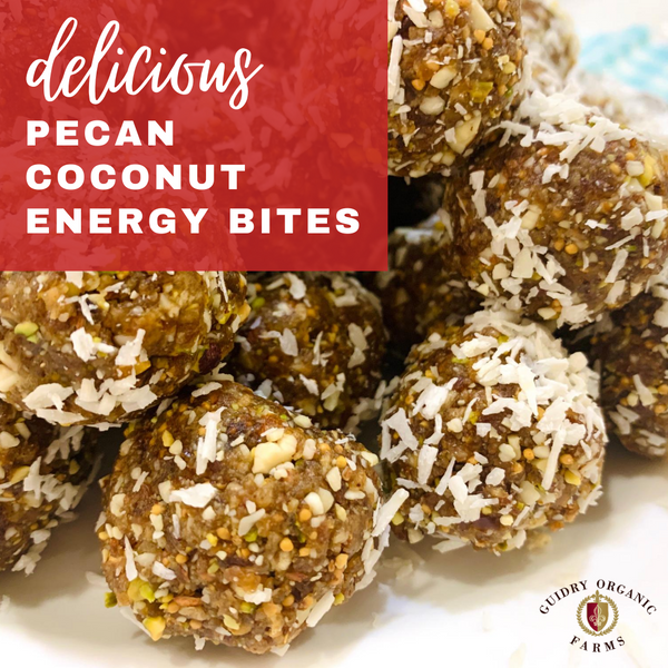 KETO Pecan Coconut Energy Bites