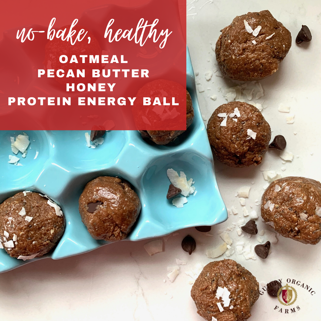 Healthy Chocolate Pecan Butter Protein Energy Balls - Guidry Organic Farms