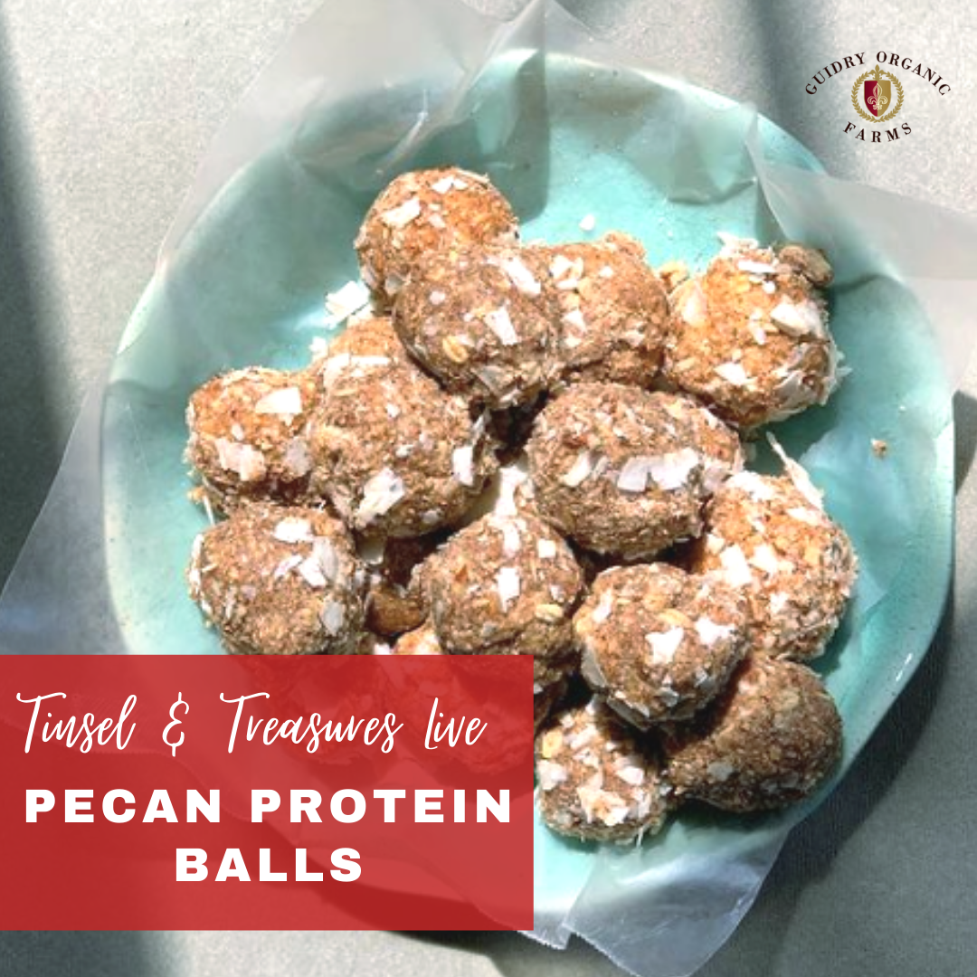 TINSEL & TREASURE LIVE: Protein Pecan Bites - Guidry Organic Farms