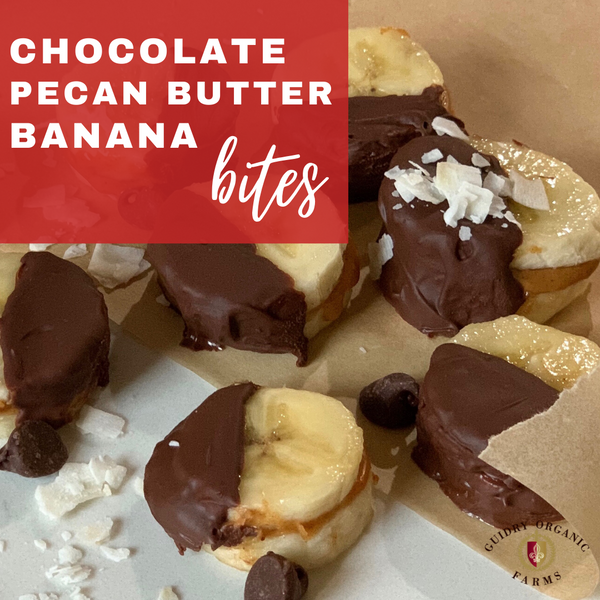 Chocolate Pecan Butter Banana Bites