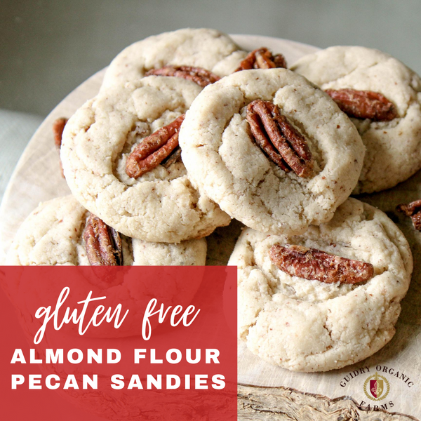 Almond Flour Pecan Sandies