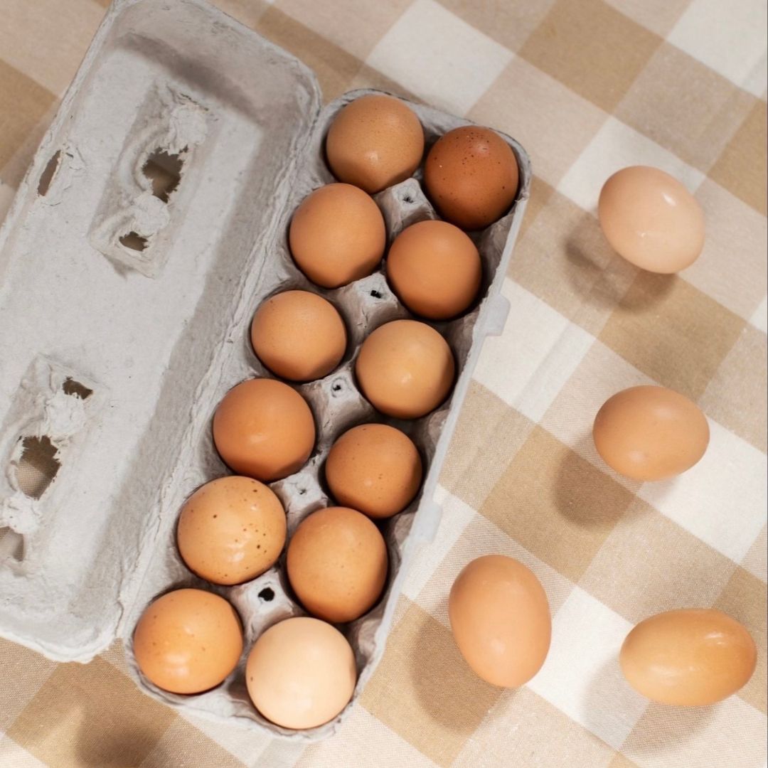 Farm Fresh Eggs (Sold Local Only!)