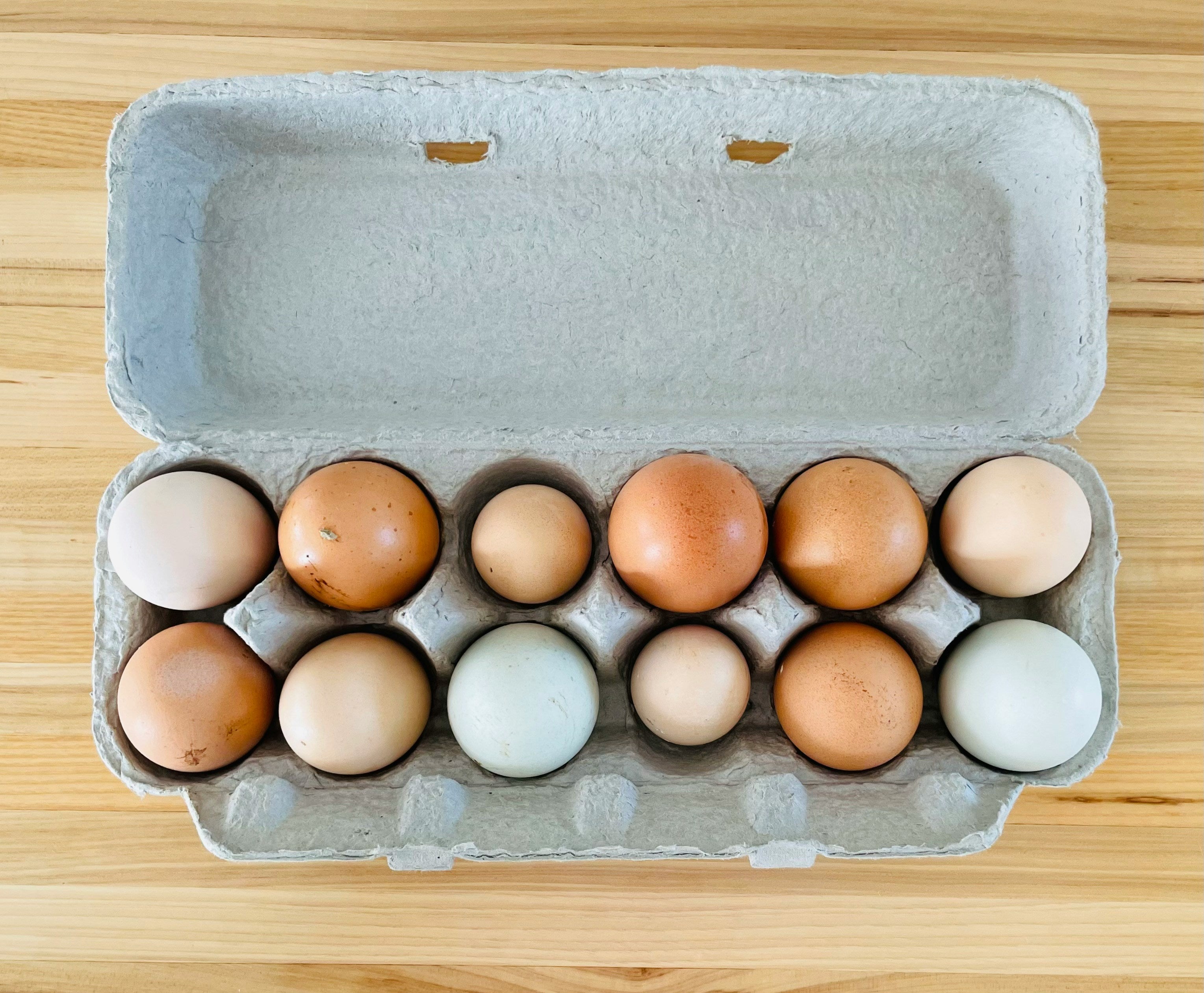 Farm Fresh Eggs (Sold Local Only!)