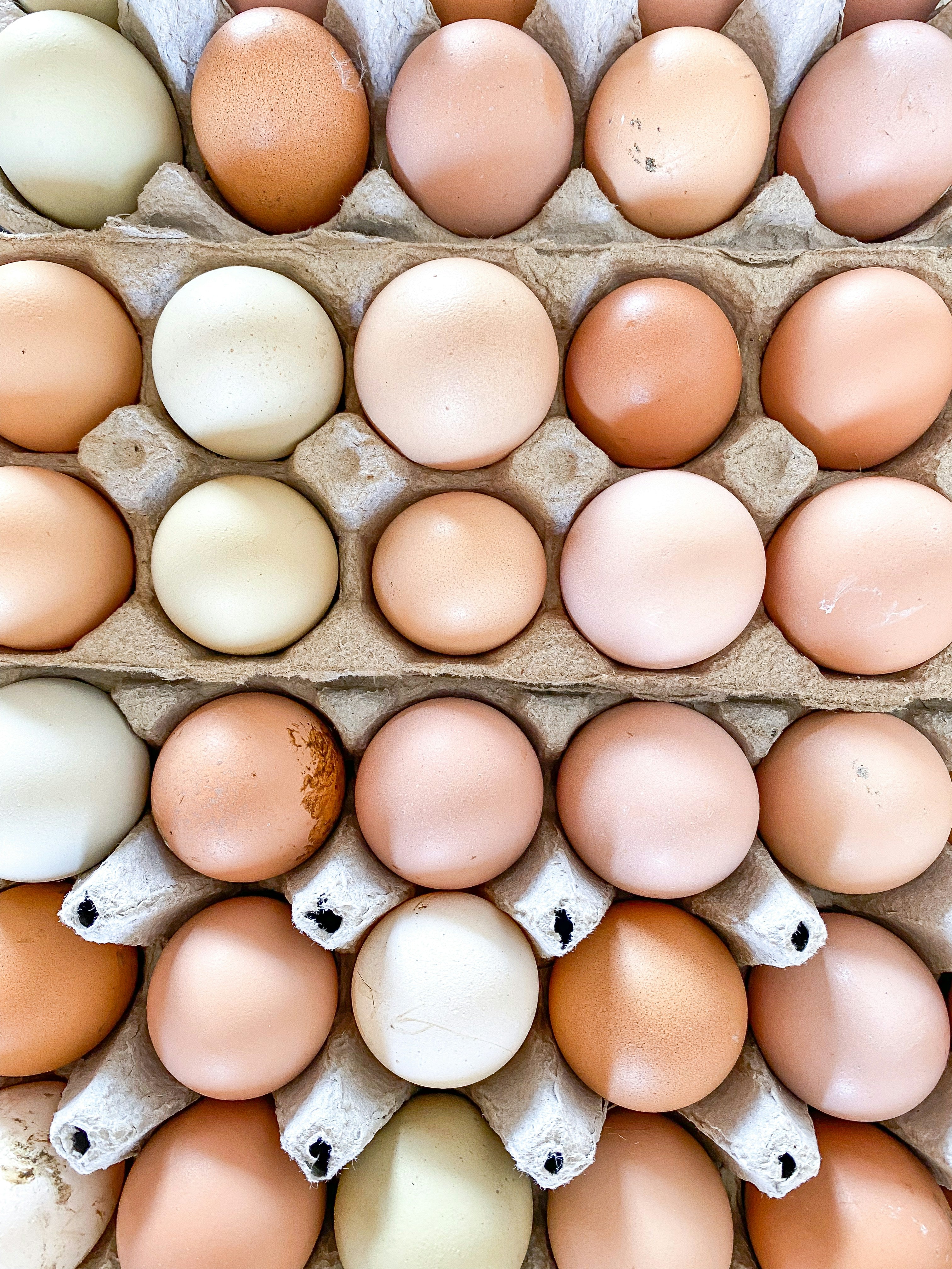 Farm Fresh Eggs (Sold Local Only!)