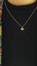 Load and play video in Gallery viewer, The Honey Bee Necklace
